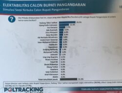 Dadang Solihat Naik Daun dalam Poling Sementara Pilkada 2024