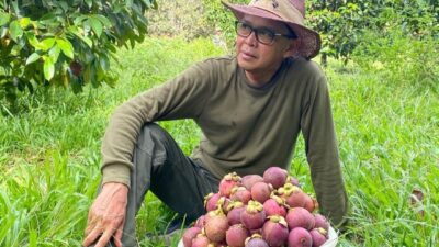 Nurdin Abdullah: Lebih Fokus pada Bisnis, Bukan Urusan Pilgub