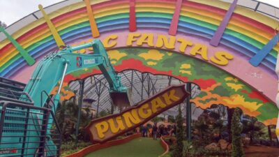 Rencana Restorasi Area Setelah Bongkar Hibisc: Tanam Pohon & Tingkatkan Resapan