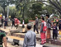 Data Ahli Waris Korban Tewas Pohon Tumbang di Pemalang: Fakta Terbaru