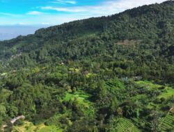 Arista Montana dan Keberlanjutan: Integrasi Pertanian Organik dan Konservasi Alam