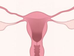 Biaya Egg Freezing & Efek Vasektomi pada Pria di Indonesia