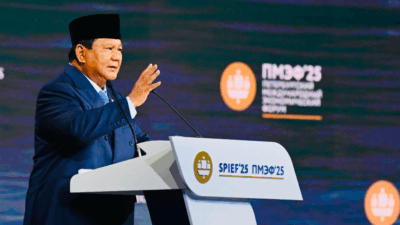 Presiden Ungkap Fakta Menarik: 5 Juta Bayi Lahir di Indonesia Setiap Tahun