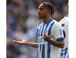 Chelsea Sepakat Transfer Joao Pedro dengan Brighton & Hove Albion