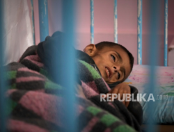 Gizi Buruk Akut pada 2.700 Balita di Gaza: PBB Berbicara