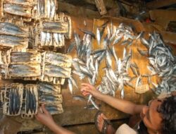 Pentingnya Hindari Penggunaan Kertas Bekas untuk Membungkus Ikan Pindang
