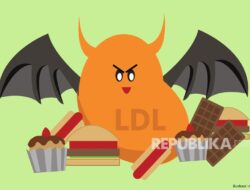 Tips Memasak Daging Kurban Agar Kolesterol Tetap Terkendali