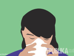 Manfaat Sup dalam Meredakan Gejala Flu