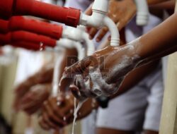 Awas! Parasit Cacing dan Risiko Pengapuran Jantung