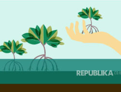 Memeluk Pohon: Mitos atau Fakta Terbukti? Dokter Berbicara