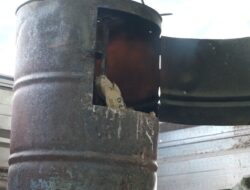 Karbon, Pohon, dan Siklus Nutrisi di Arista Montana Mega Mendung